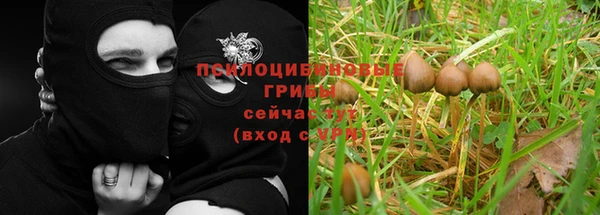 твердый Белоозёрский