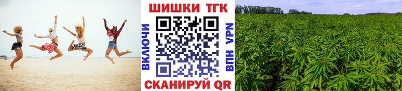 Марихуана сатива  Черноголовка 
